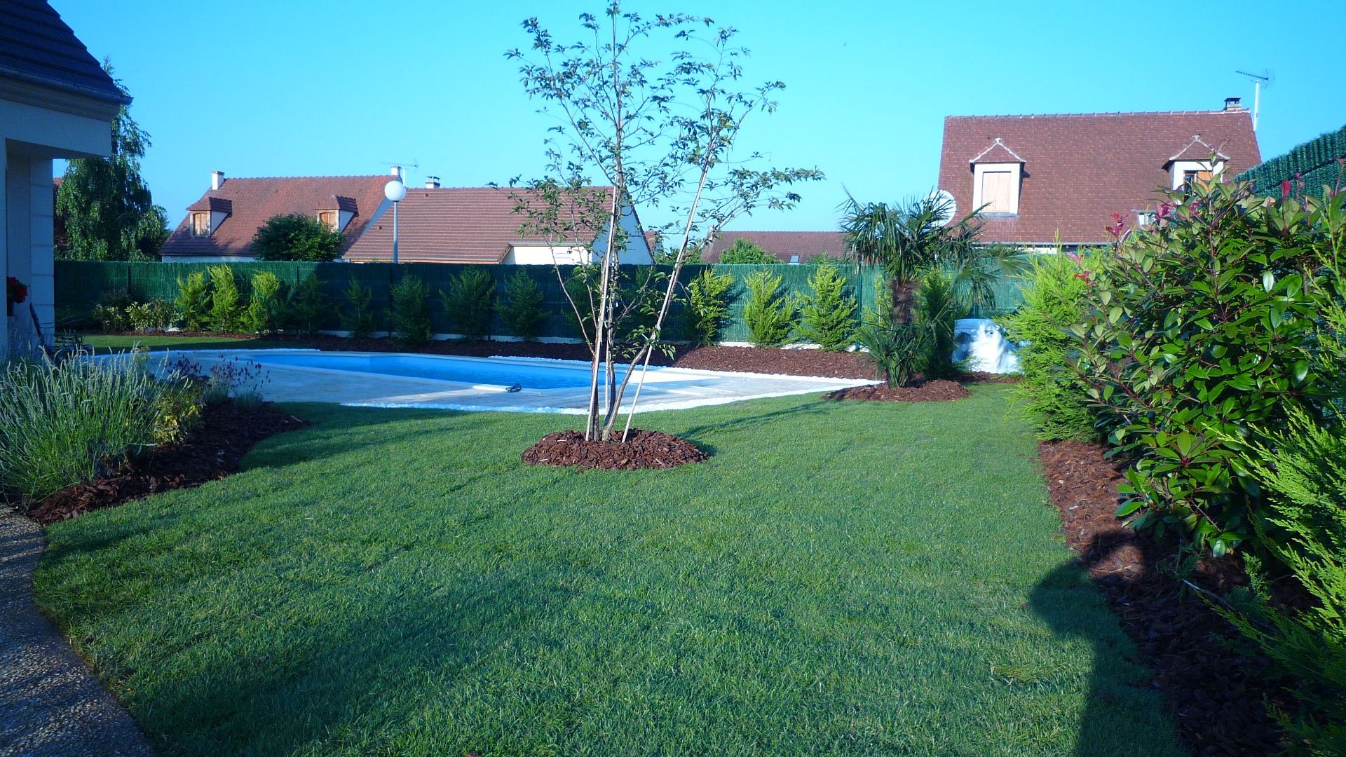 Pelouse verdoyante luxuriante avec un petit arbre dans le jardin, piscine recouverte de bleu, maisons en arrière-plan.