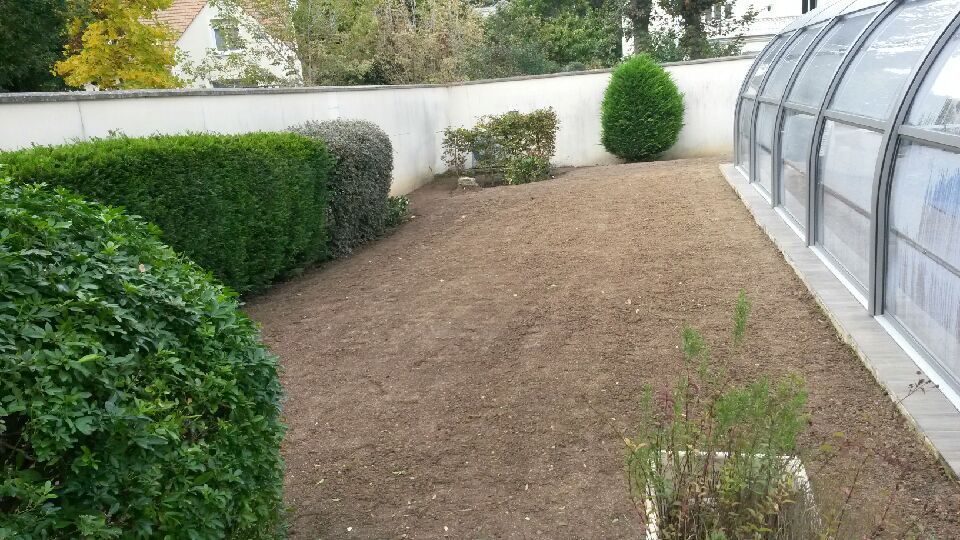 Un jardin avec des buissons taillés, une parcelle de terre nue et un abri de piscine le long d'un mur.