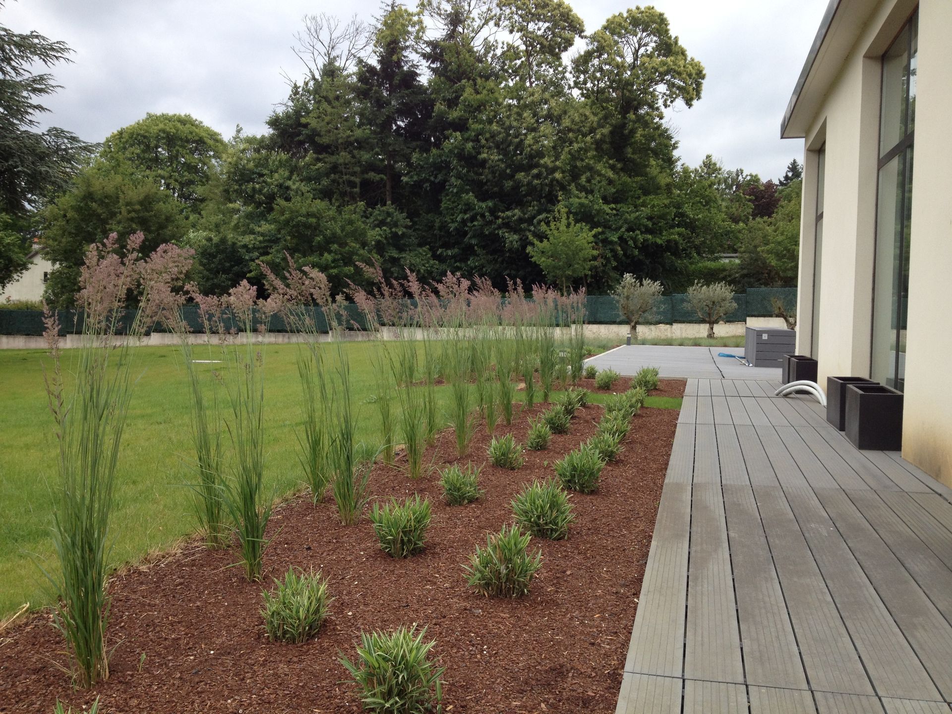 Un jardin paysager avec une rangée de petites plantes et de hautes herbes, près d'une terrasse et une maison.