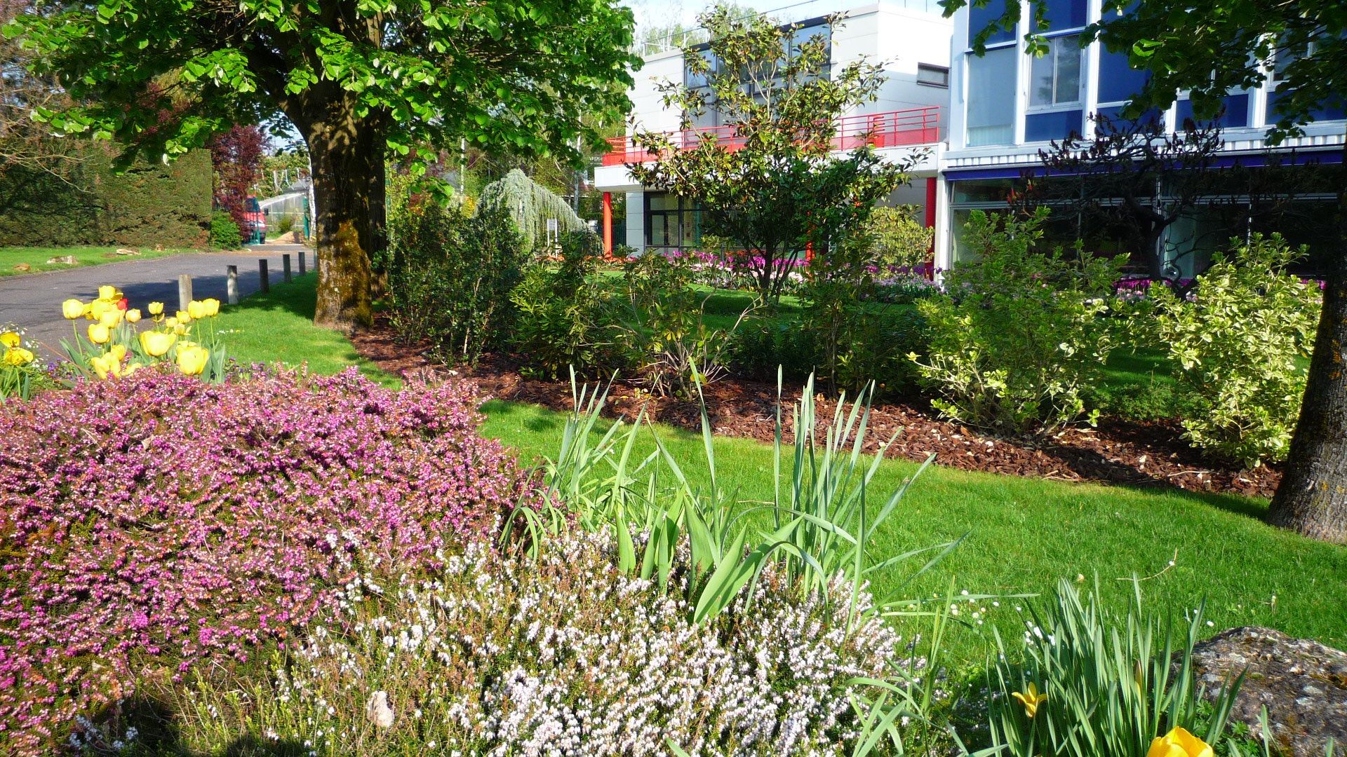 Jardin coloré avec des fleurs, des arbustes et un chemin menant à un bâtiment.