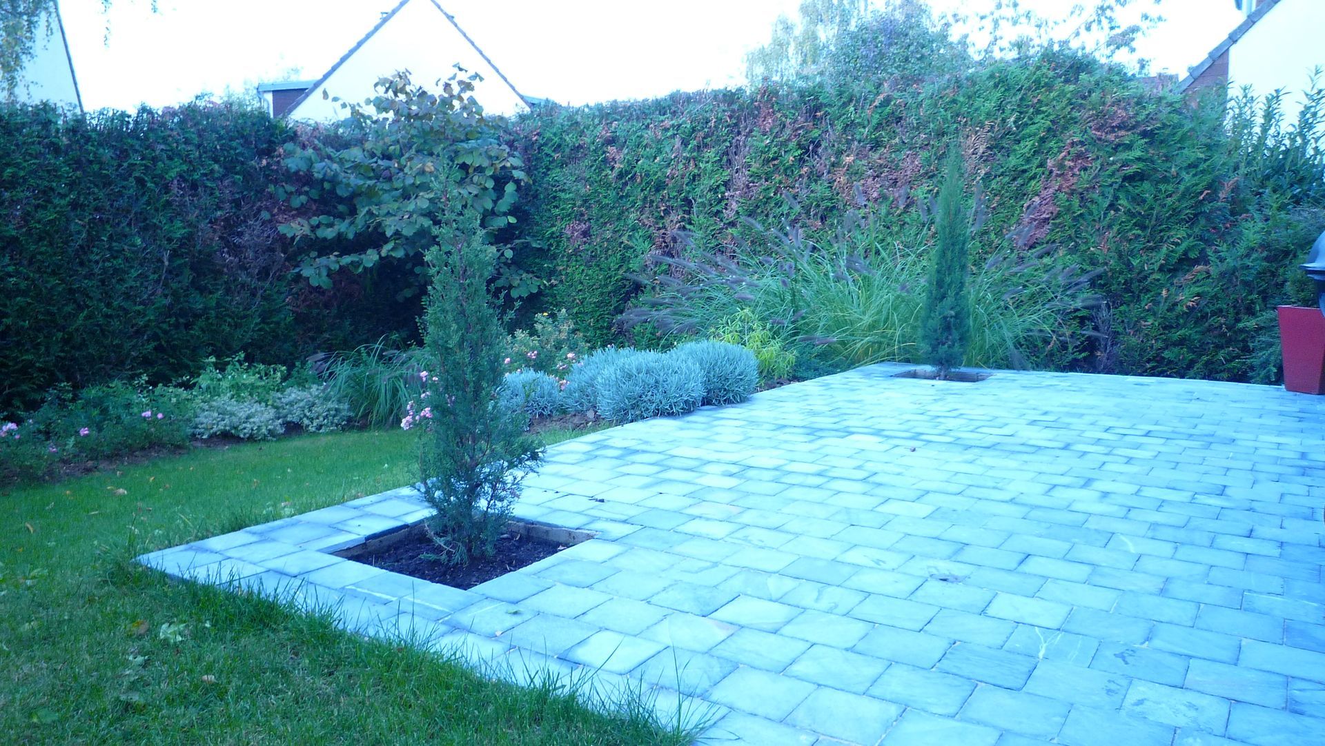 Terrasse en briques dans un jardin, deux petits arbres dans des parterres carrés, pelouse verte et haies en arrière-plan.