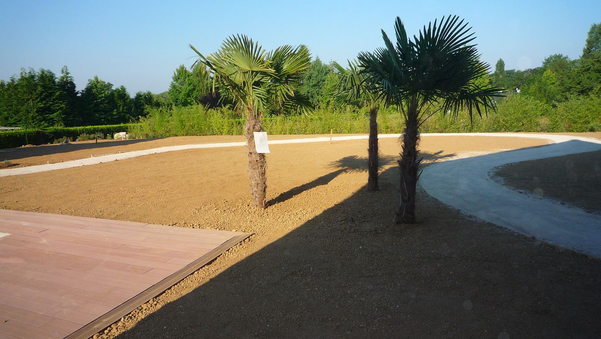 Des palmiers se dressent sur du gravier le long de sentiers sinueux dans un parc ensoleillé.