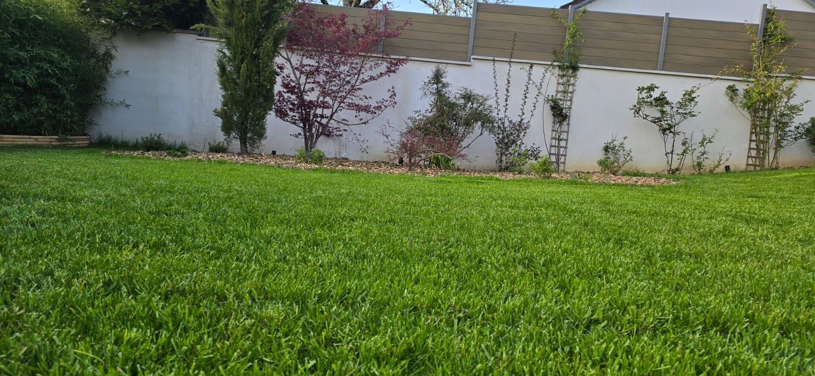 Pelouse verdoyante avec un mur blanc et des plantes en arrière-plan.