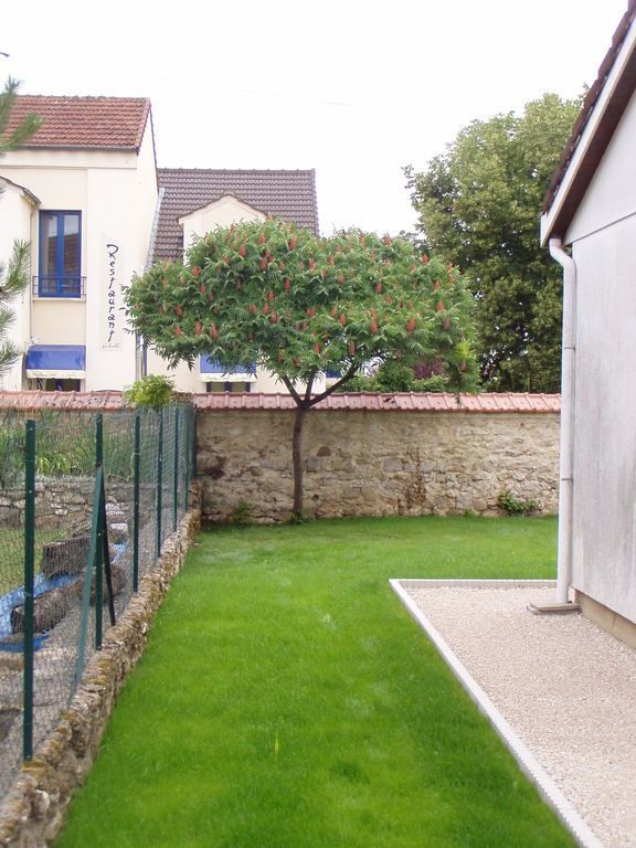 Pelouse verte avec un arbre, un vieux mur de pierre et des maisons.