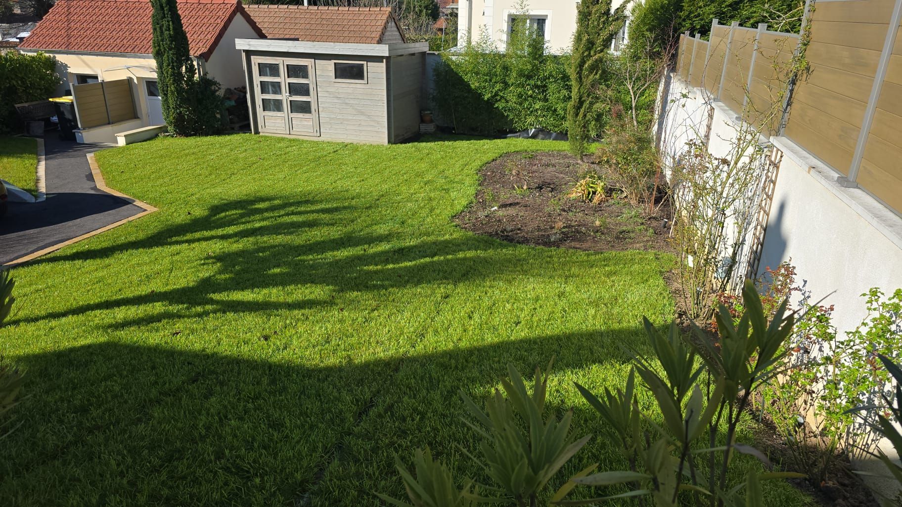 Pelouse verte avec abri de jardin, plantes et allée.