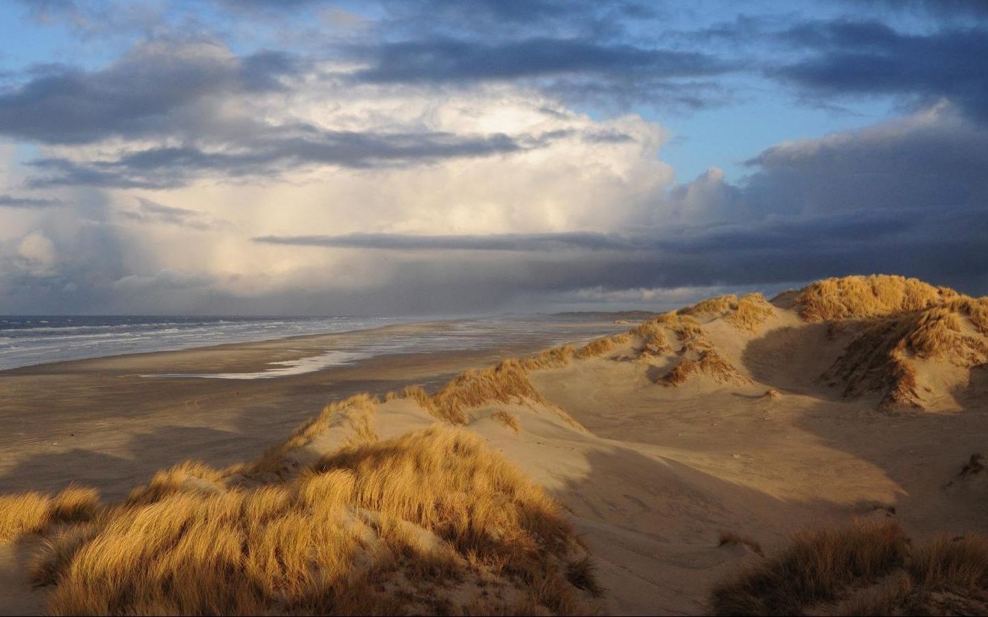 A beach with sand dunes and a cloudy sky