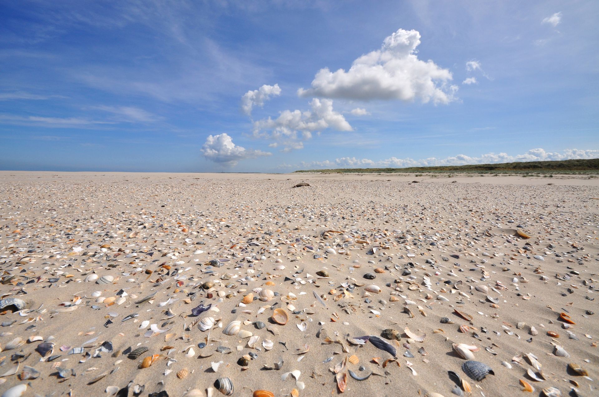 Zandstrand en duinen onder een bewolkte hemel, verlicht door de zon.
