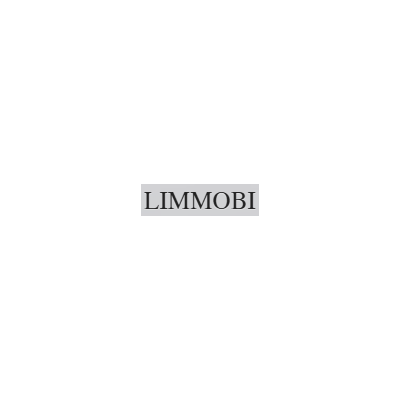 Graues Wort „LIMMOBI“ zentriert auf weissem Hintergrund.