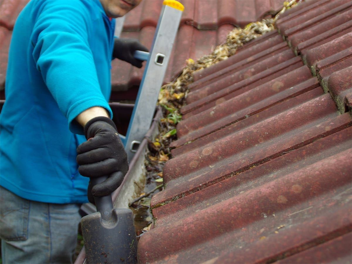 Canalones limpios para evitar roturas