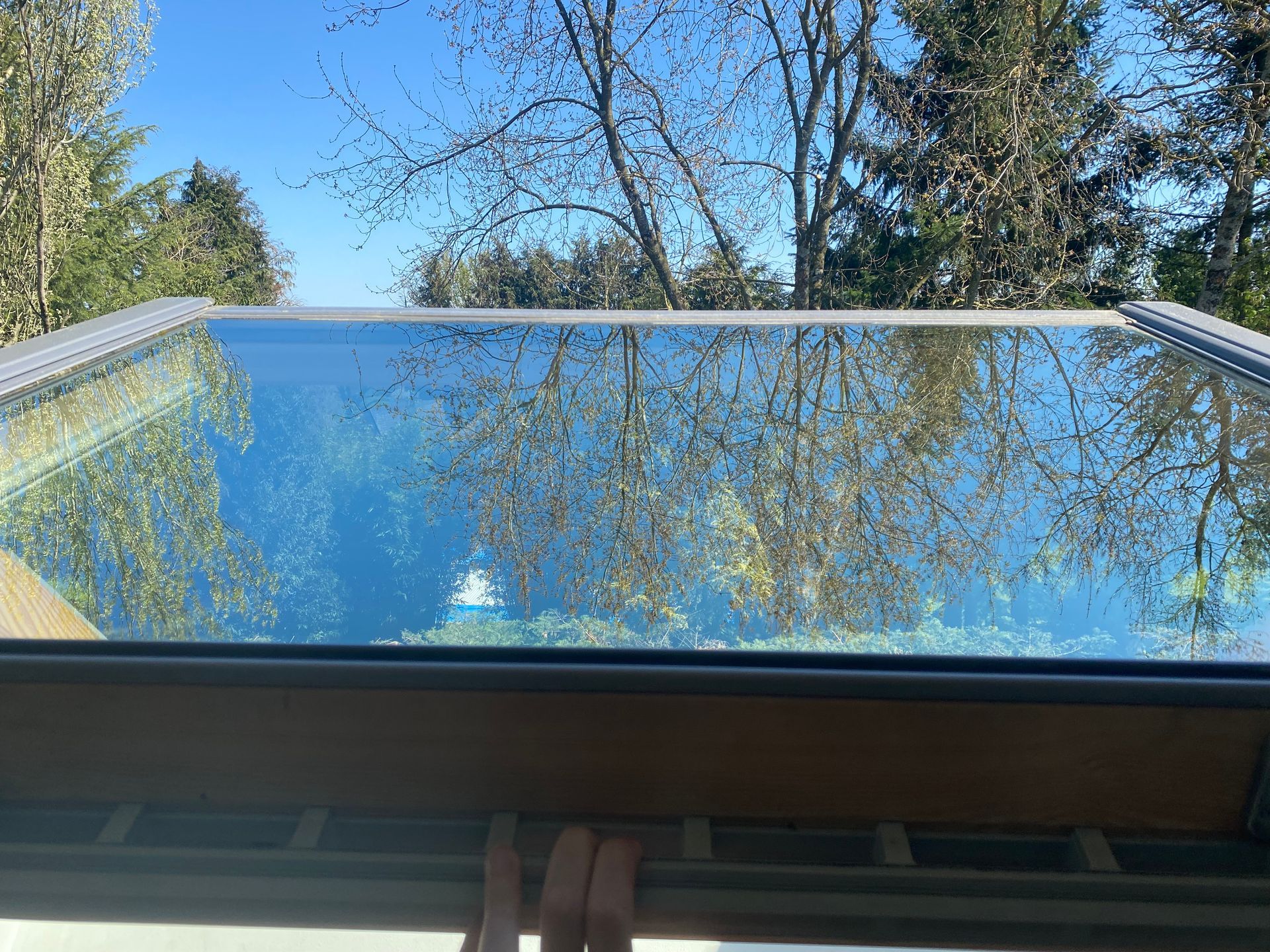 Une lucarne en verre transparent reflète les arbres et le ciel bleu. On aperçoit une main tenant un cadre sous la vitre.