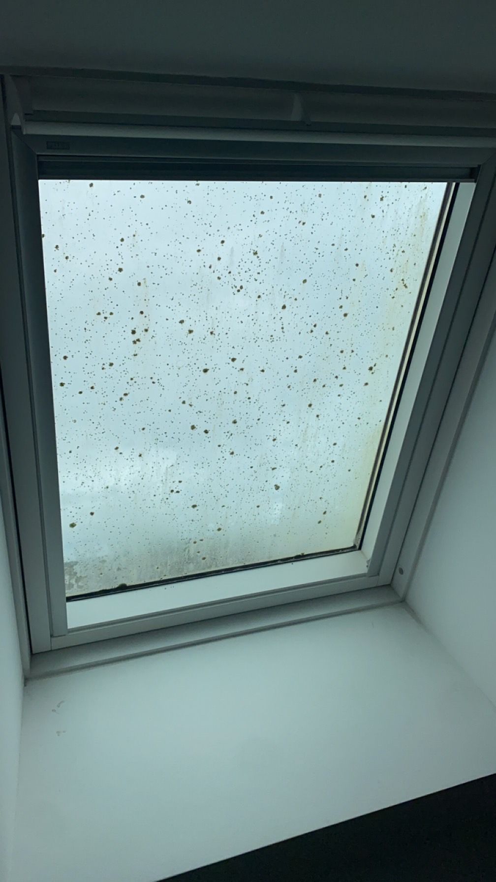 Fenêtre de toit avec un ciel nuageux visible à travers la vitre, tacheté de ce qui semble être de la pluie ou de la saleté.