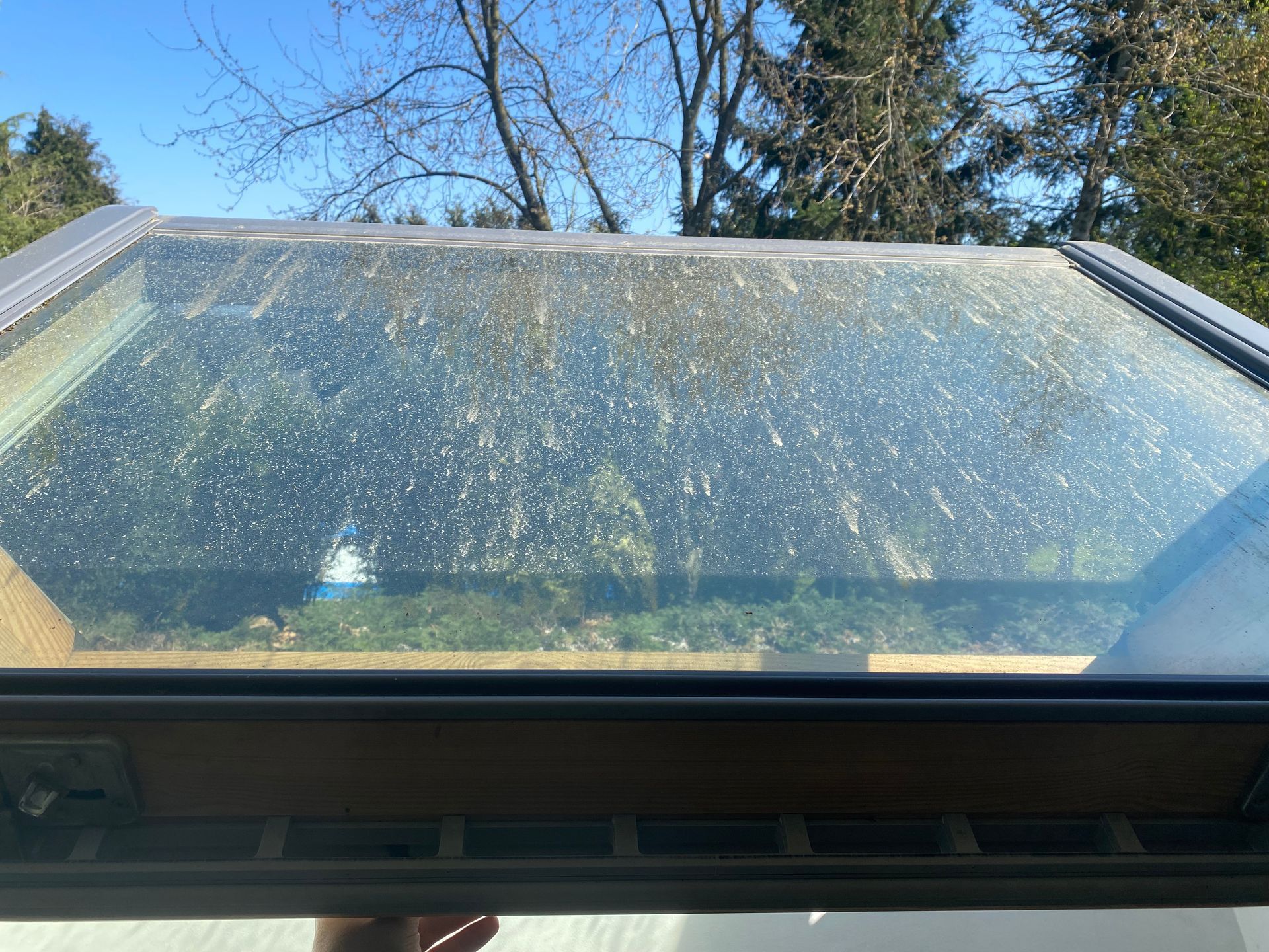 Une lucarne sale offre une vue sur des arbres verts et un ciel bleu. La vitre est tachée.