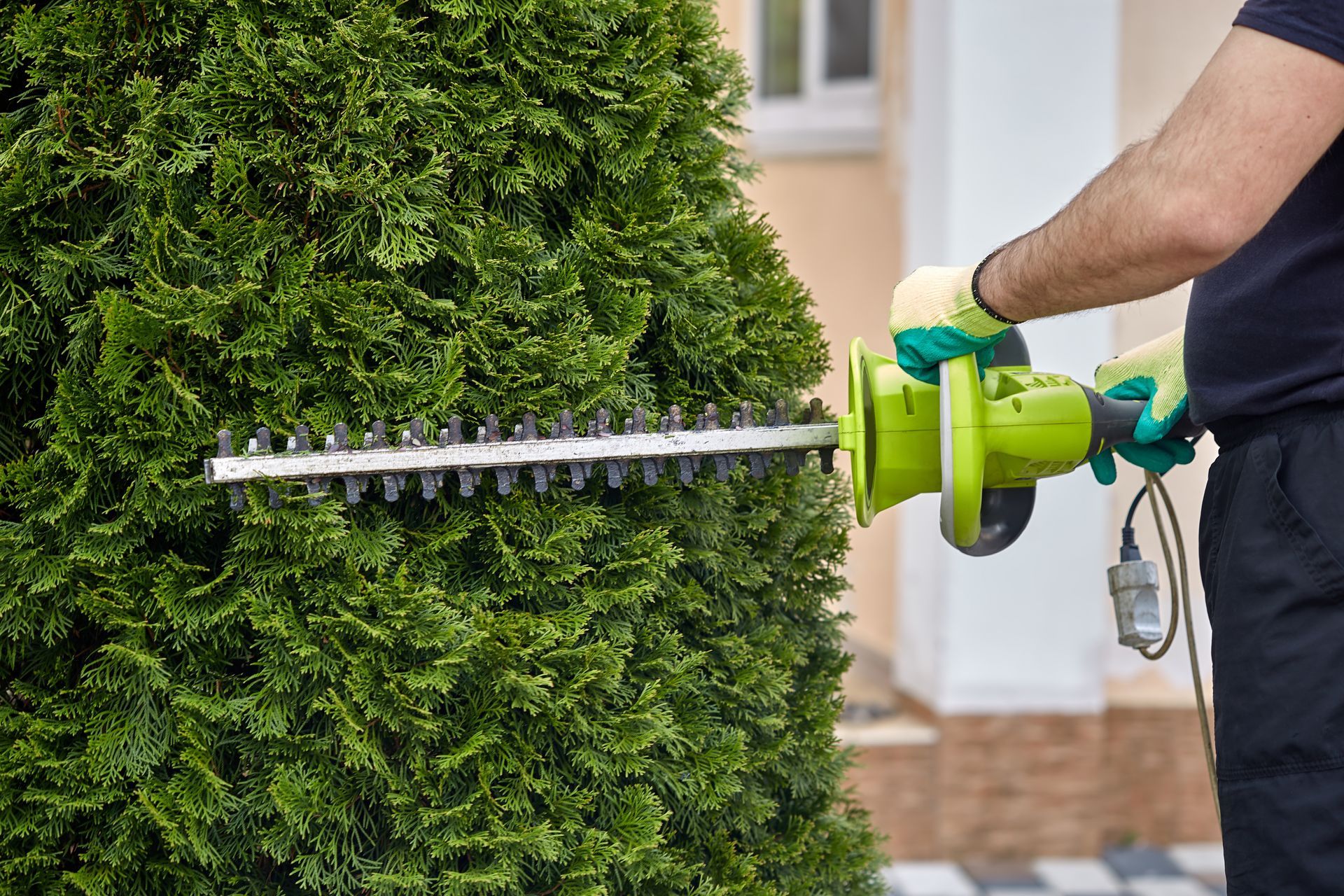 Un homme coupe un buisson avec une tondeuse à gazon.