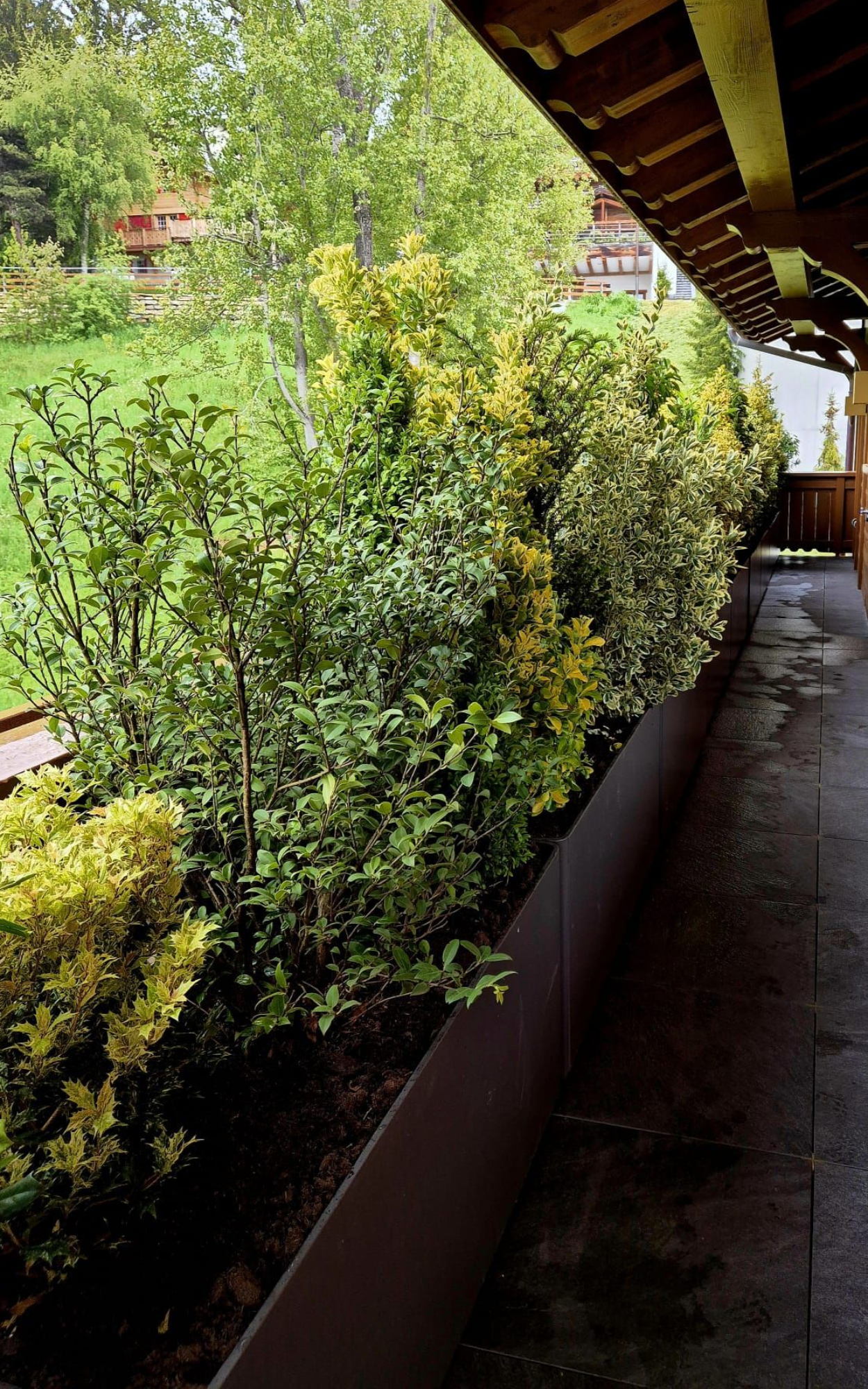 Plantation, création de jardin - Alain Duc Paysagisme & Concept Sàrl