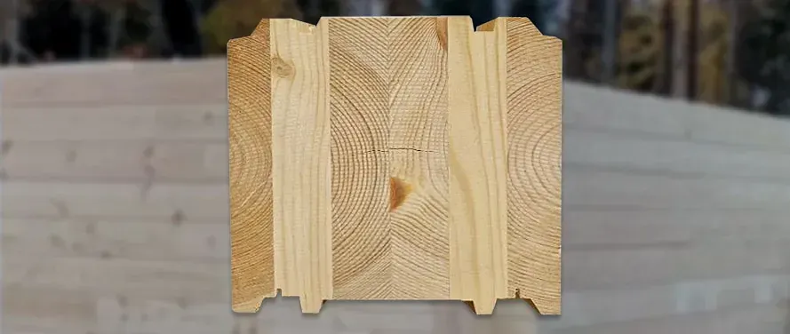 polarlog
