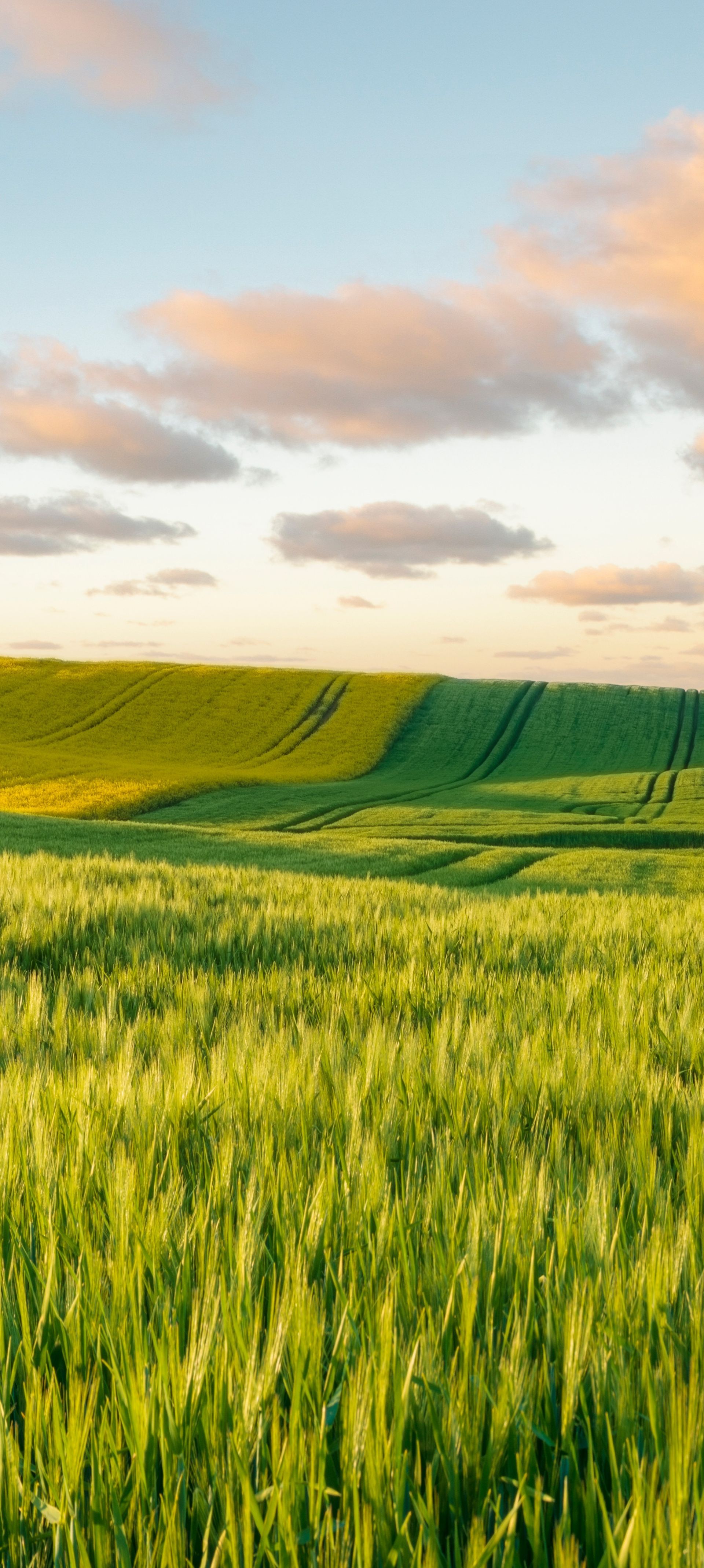 Vers la page Chambourcy.