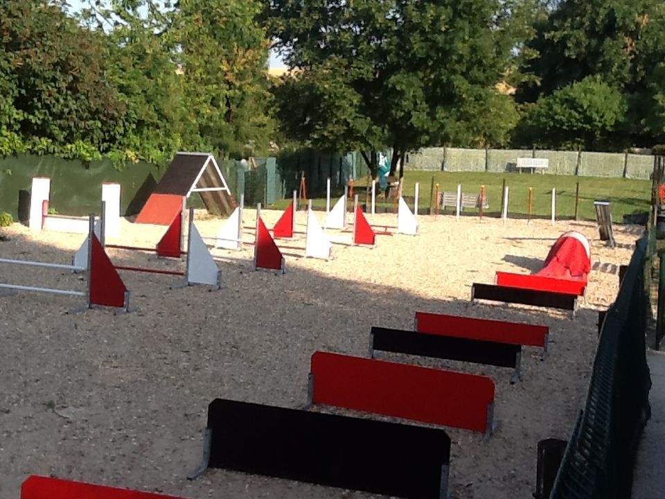 Parcours d'agilité canine avec obstacles rouges et blancs sur gravier. Arbres verts et clôture en arrière-plan.