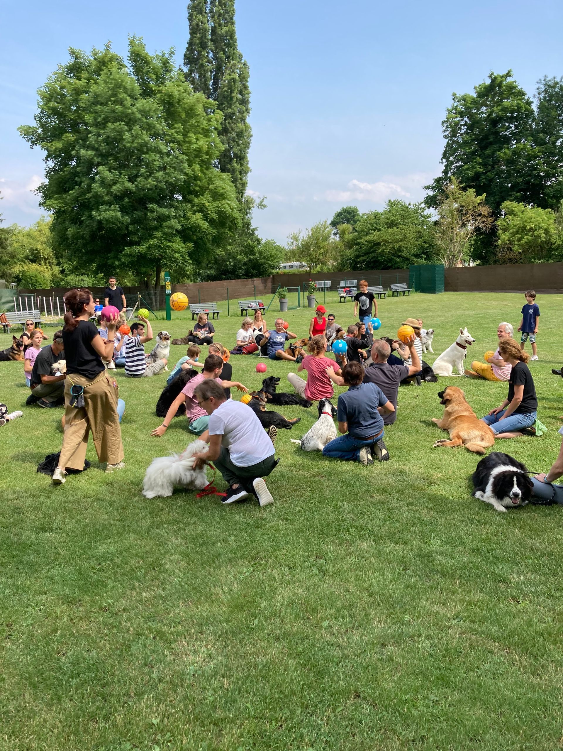 Des personnes et des chiens se rassemblent dans un champ herbeux. Certaines personnes caressent les chiens. On aperçoit des arbres et le ciel en arrière-plan.