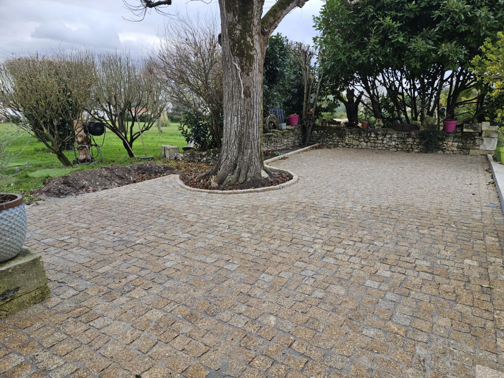 Terrasse en gravier entourant un grand tronc d'arbre, avec de l'herbe et un mur de pierre en arrière-plan.