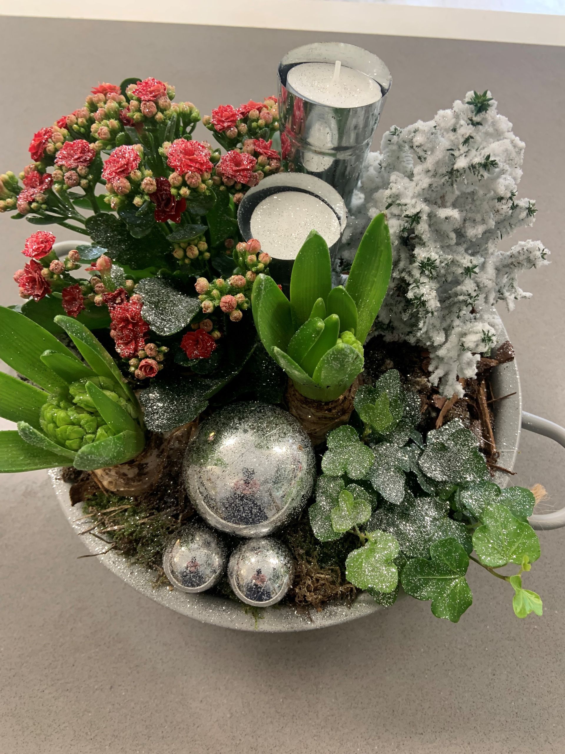 Composition de Noël avec plusieurs plantes