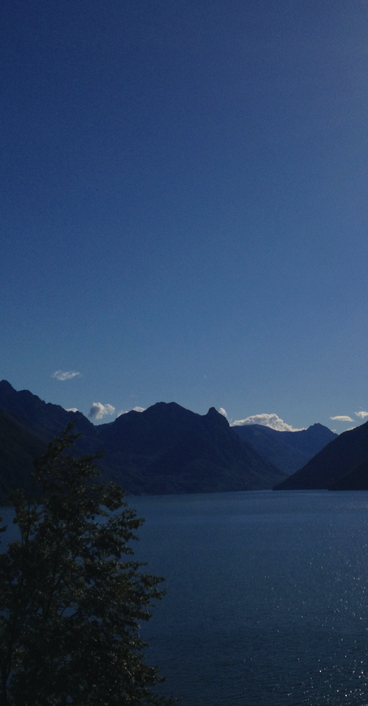 Montagne e lago - acqua, terra e aria - Dr. Med. Nicole Ferrera Espinosa - Arogno - Ticino