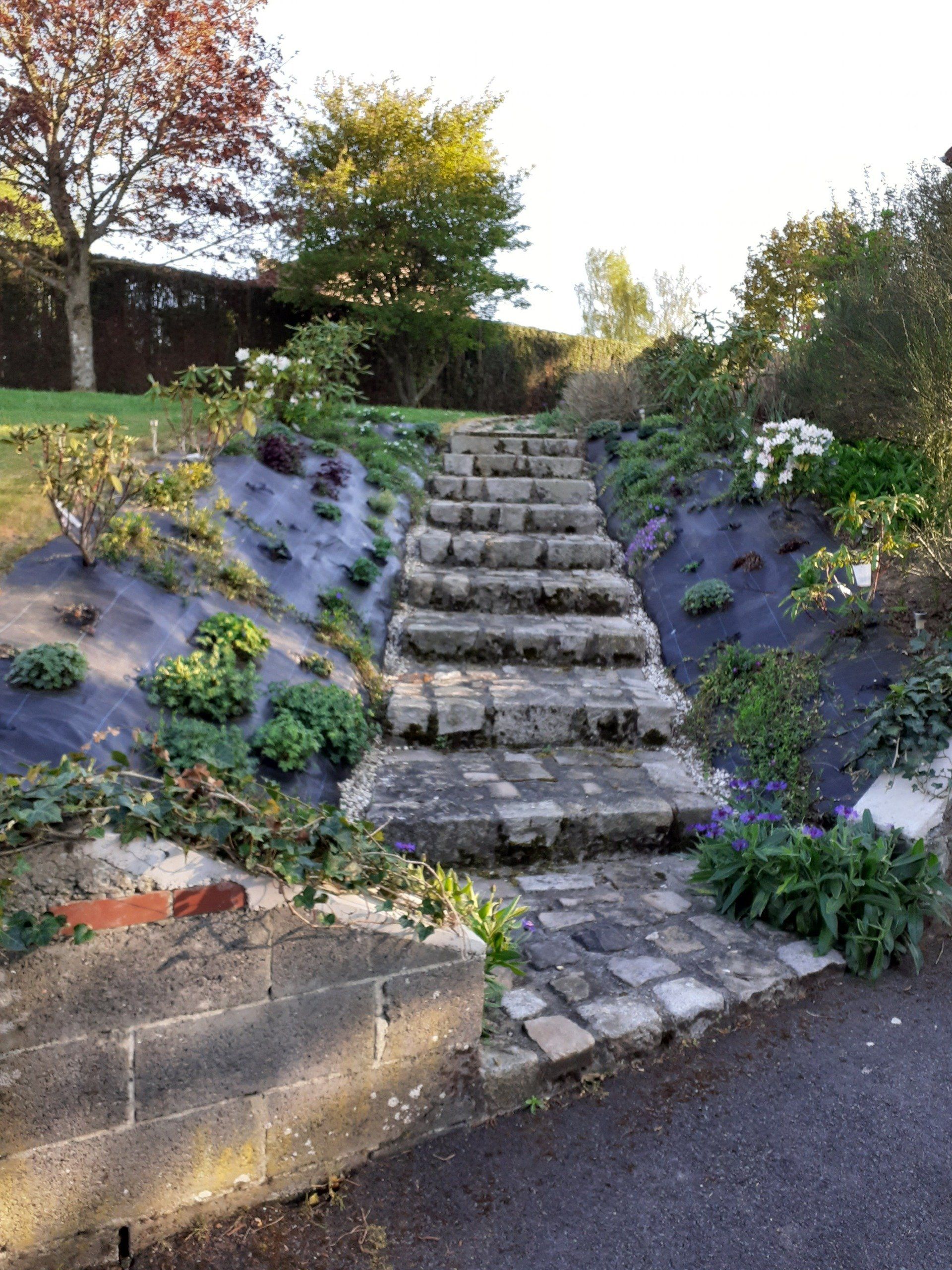 Création paysagère jardin