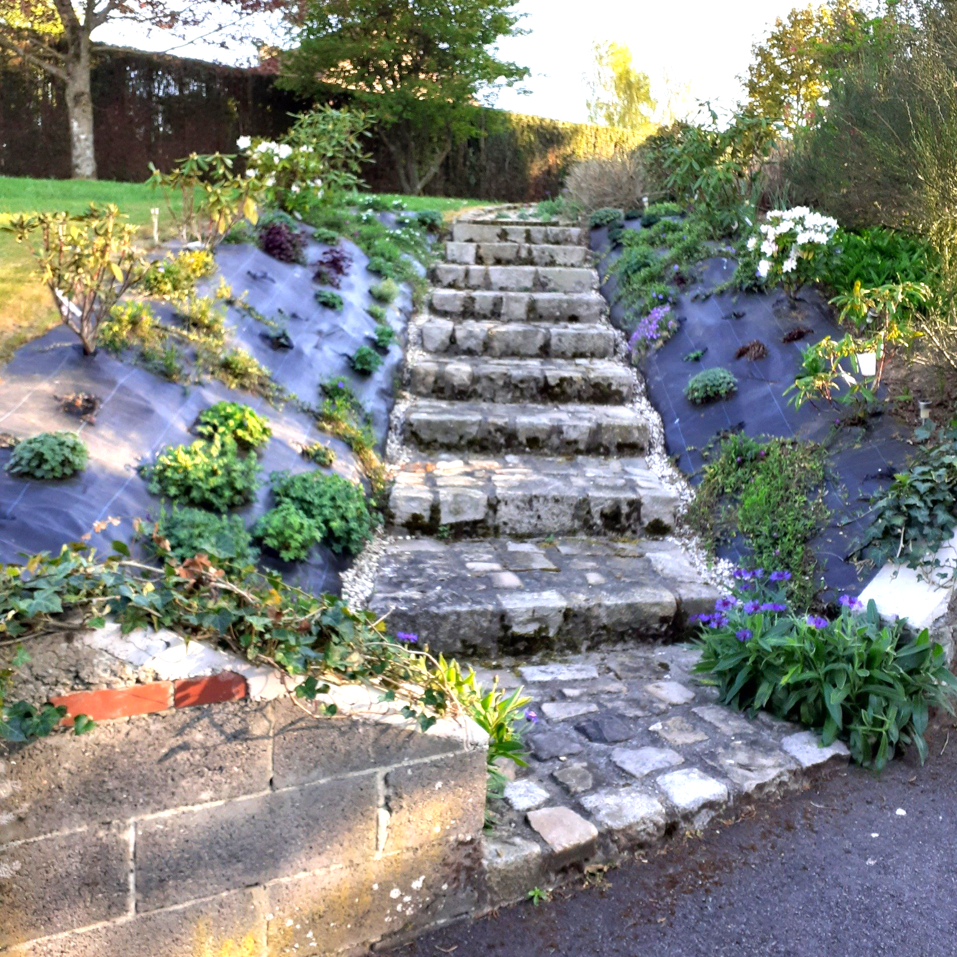 Massifs en bordures d'escaliers