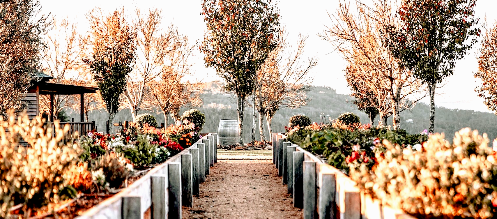 Allée avec traverses de bois