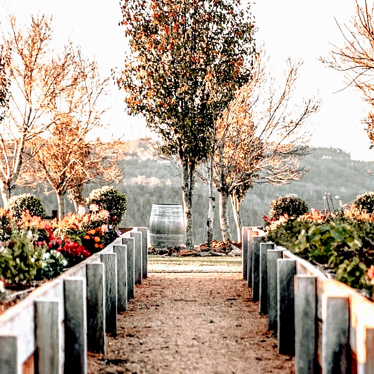 Aménagement de bacs à fleurs