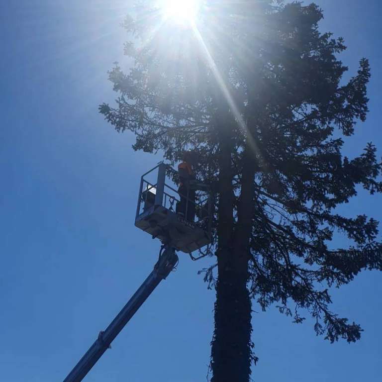 Bûcheronnage - Bûcheronnage - Richard Seydoux Bûcheron-PaysagisteSeydoux Bûcheron-Paysagiste