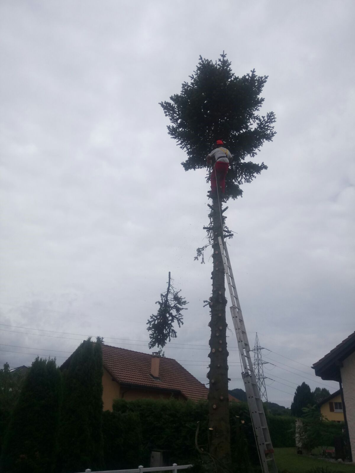 Bûcheronnage - Richard Seydoux Bûcheron-Paysagiste