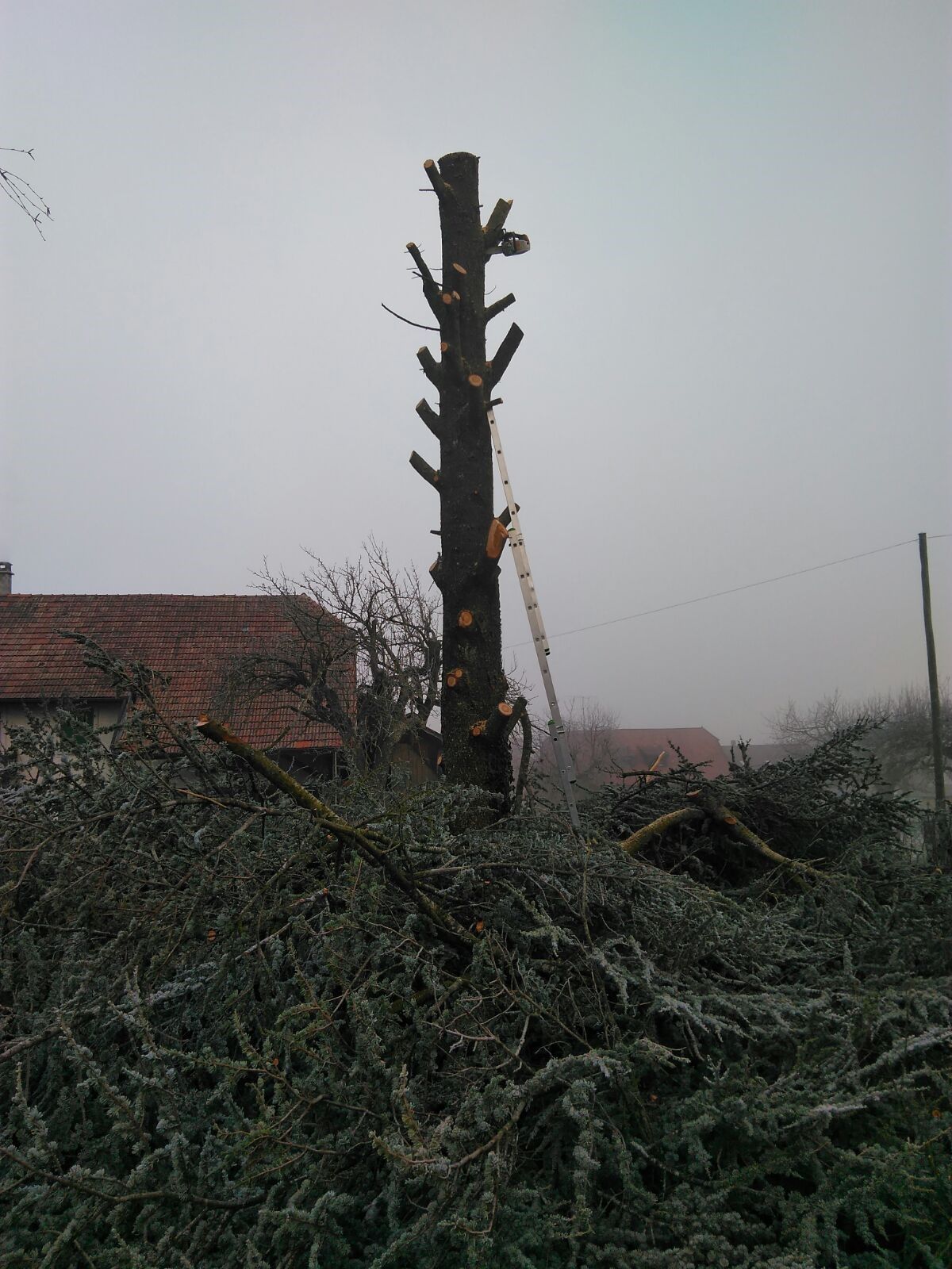 Bûcheronnage - Richard Seydoux Bûcheron-Paysagiste