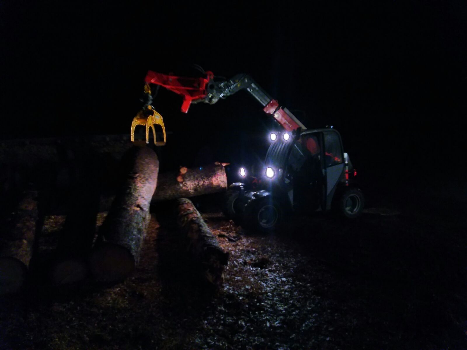 Bûcheronnage - Richard Seydoux Bûcheron-Paysagiste