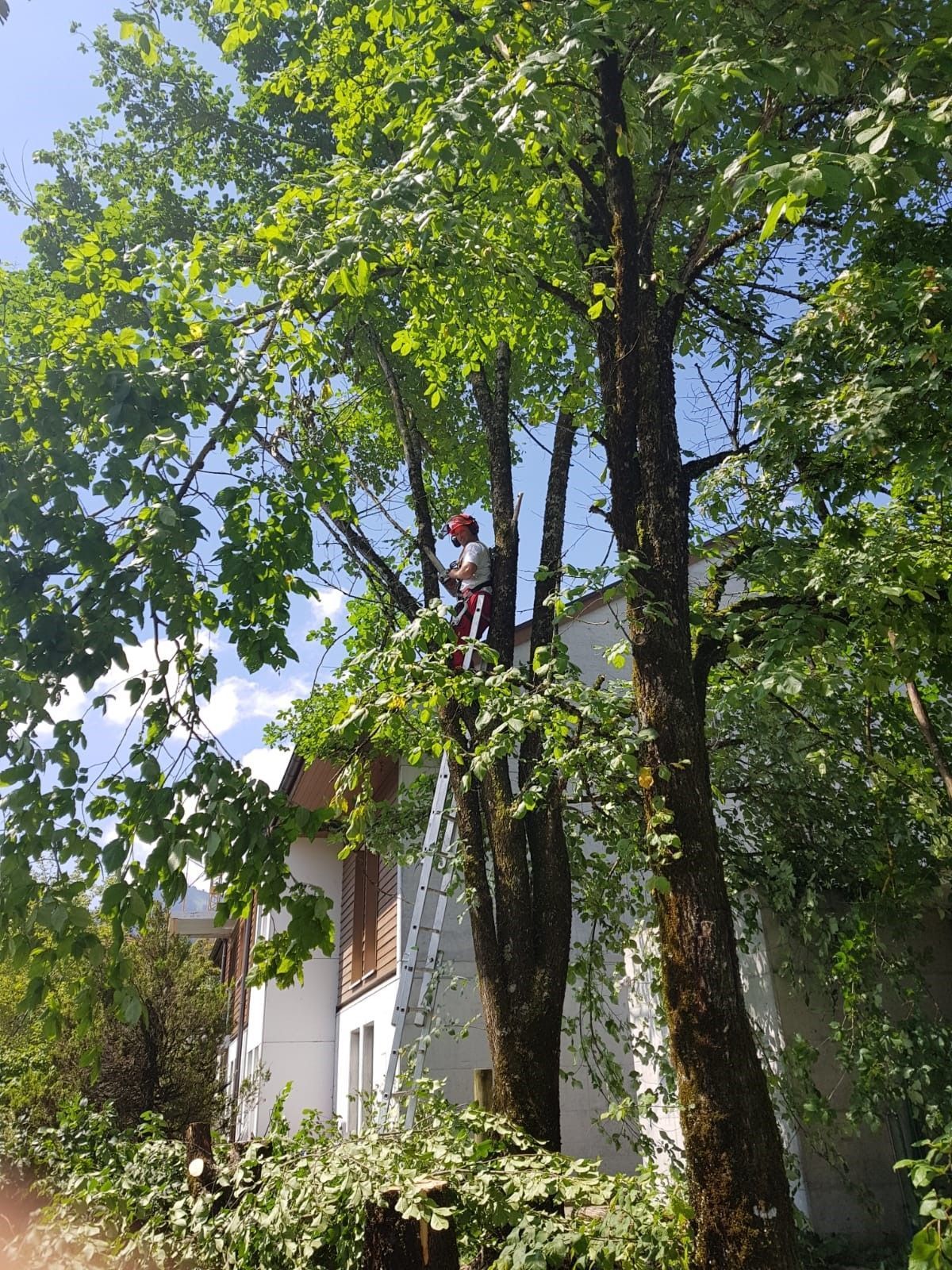 Bûcheronnage - Richard Seydoux Bûcheron-Paysagiste