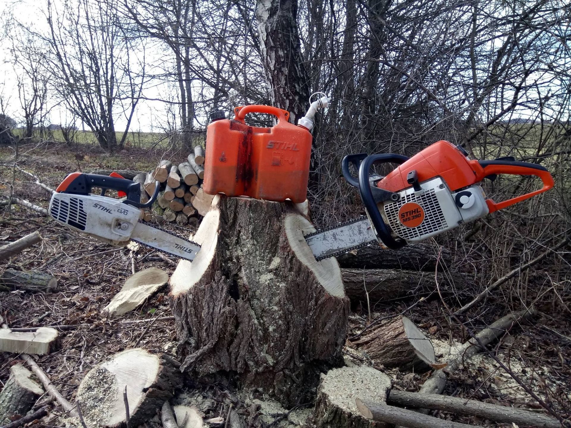 Bûcheronnage - Richard Seydoux Bûcheron-Paysagiste