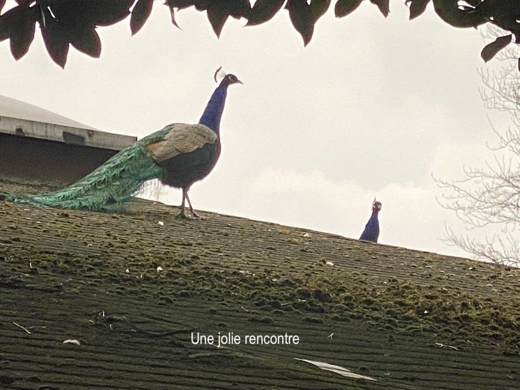 Instant nature 2