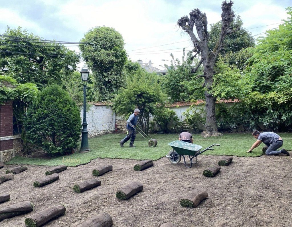 Pelouse plaquée en cours