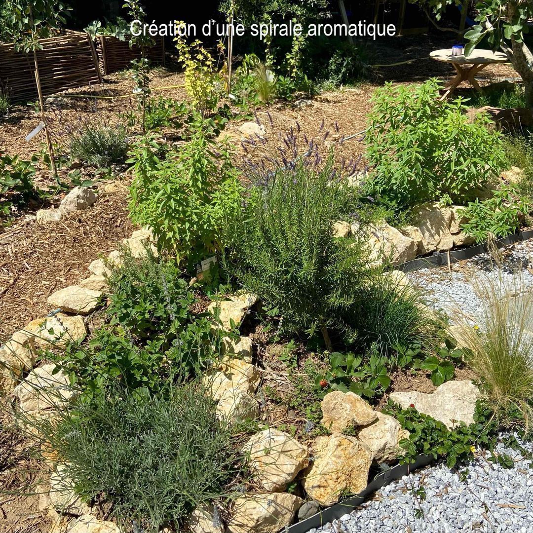 Massif de plantes