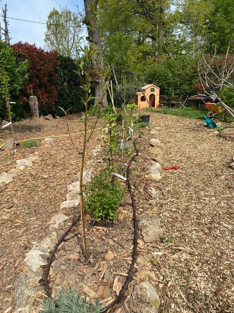 Permaculture 2