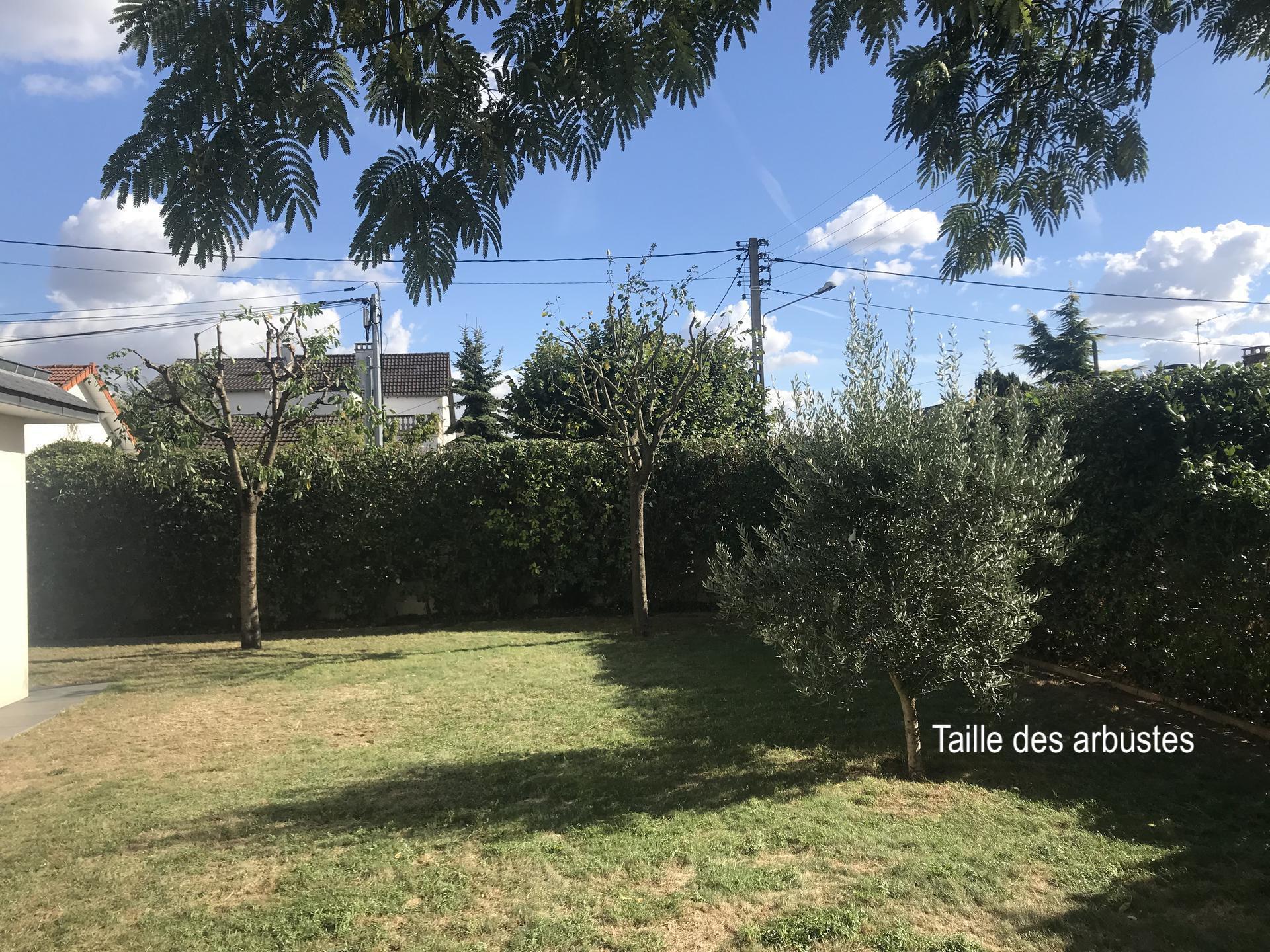 Taille-haie et arbres fruitiers
