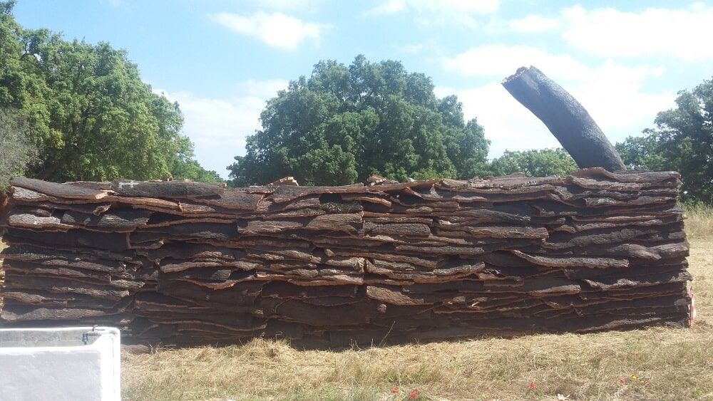 Pilha de casca de cortiça marrom-escura em um campo, com árvores e céu azul visíveis ao fundo.