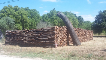 Pilha de casca de cortiça colhida, secando em um campo. Apresenta tons de marrom, bege e verde.