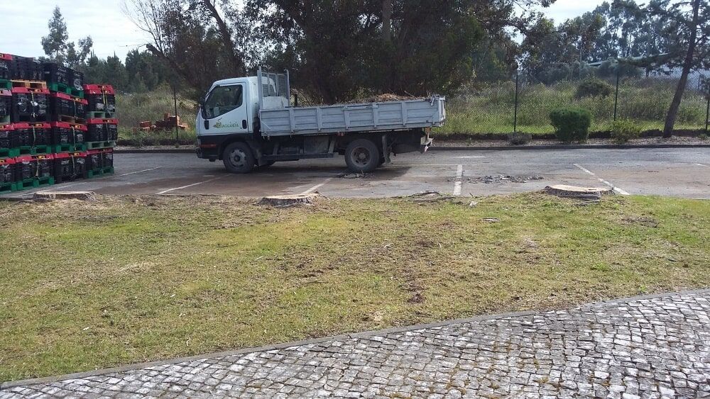 Caminhão branco no asfalto ao lado da grama e de uma pilha de objetos vermelhos, com árvores ao fundo.