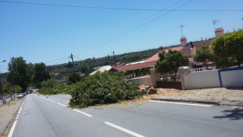 Estrada bloqueada por galhos de árvores caídos; casas e colina ao fundo.