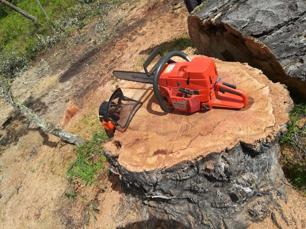 Motosserra laranja em um toco de árvore em um ambiente externo, cercada por aparas de madeira.