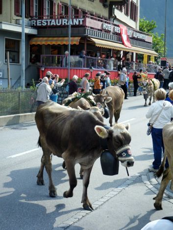 alpabzug - hotel & restaurant alpenrose - innertkirchen