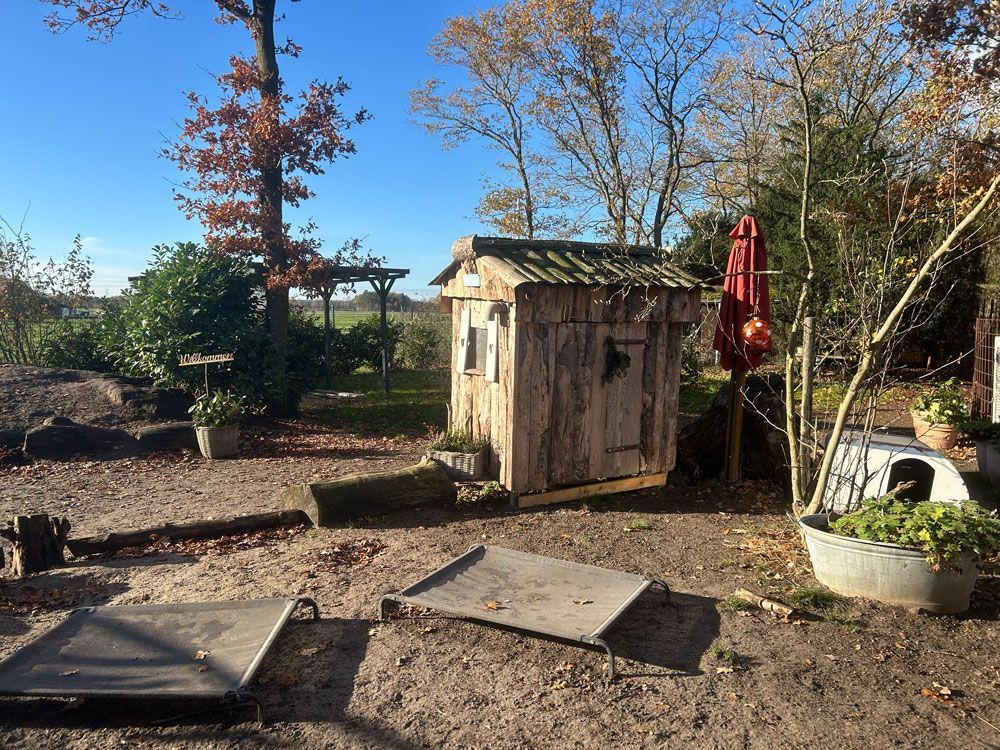 Zwei dalmatinische Hunde stehen nebeneinander auf einer unbefestigten Straße