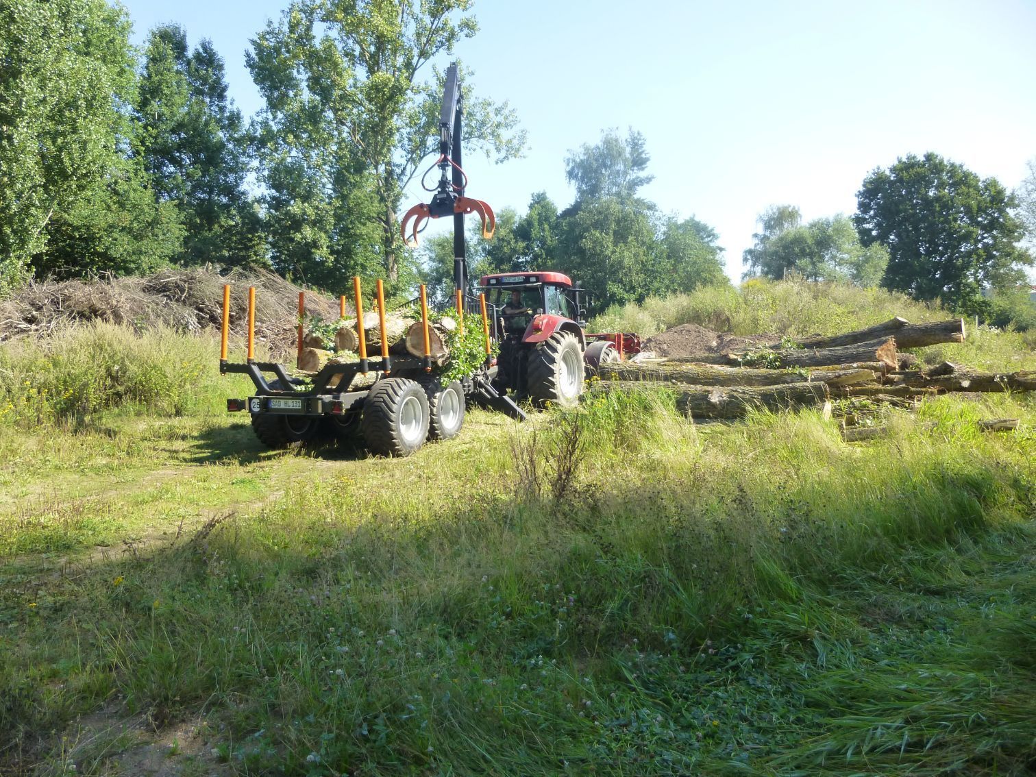 Entfernung der Baum-Teile nach der Fällung