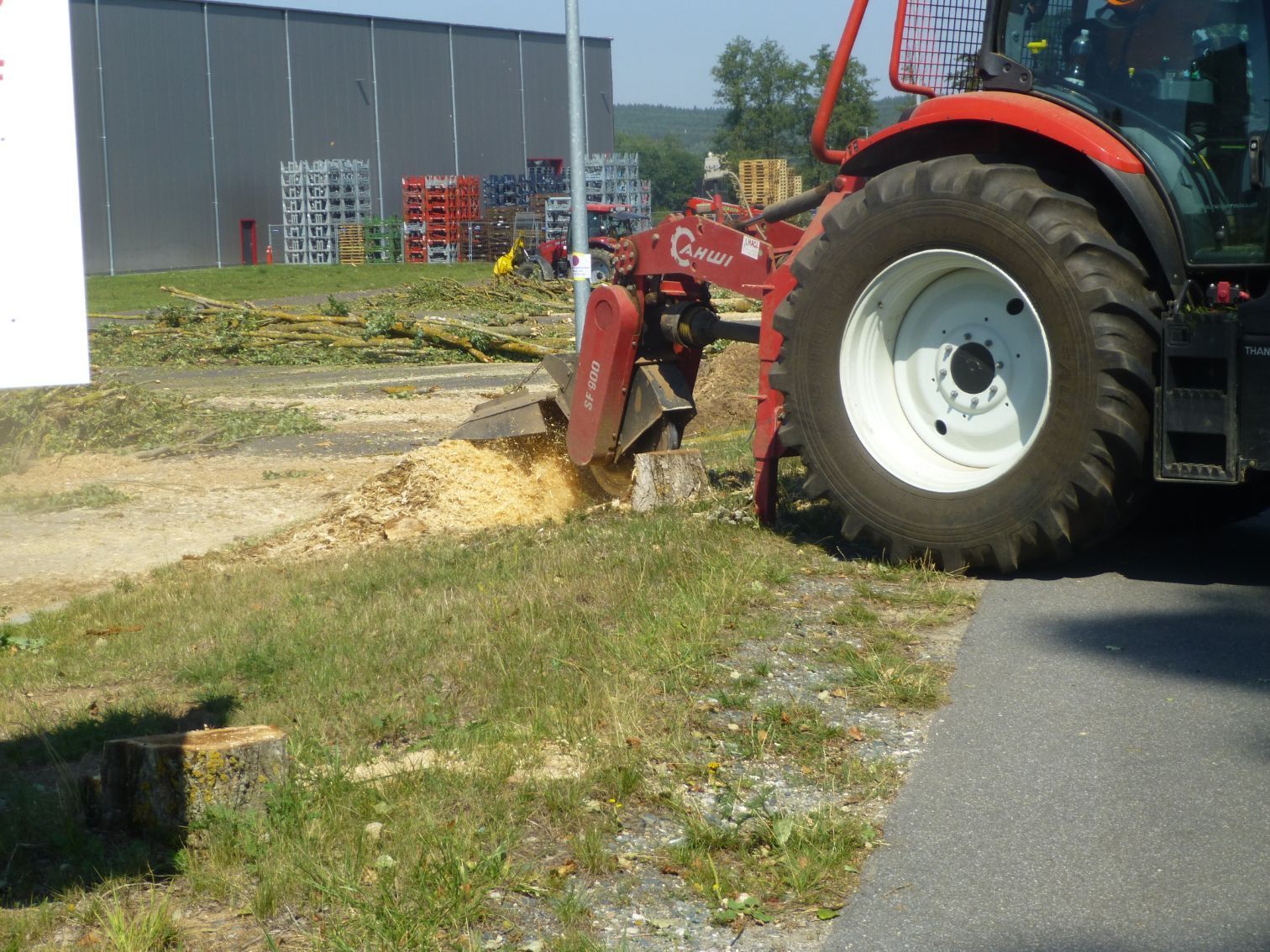Entfernung eines Baumstumpfs