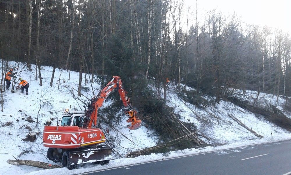 Verkehrssicherung von Bäumen an einer Straße im Winter